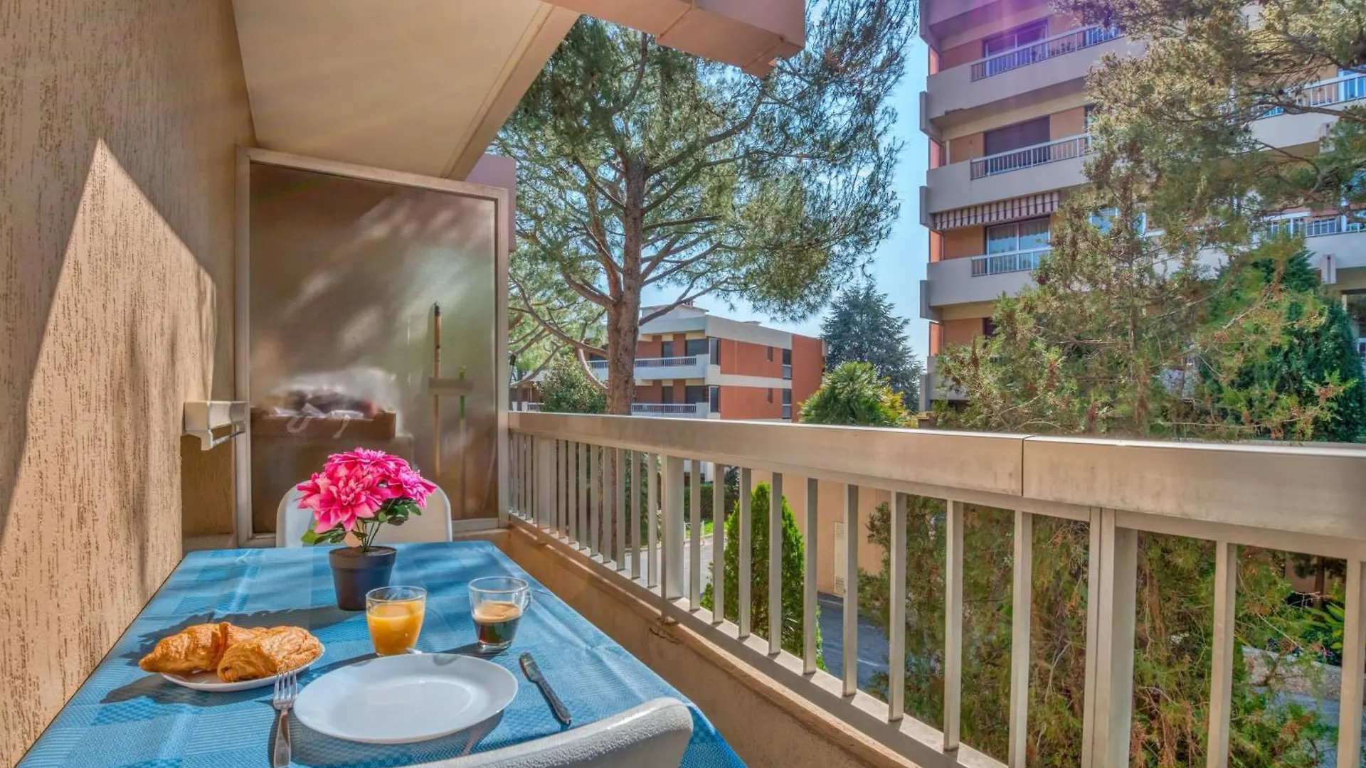 Le Petit Balcon Apartment Nice