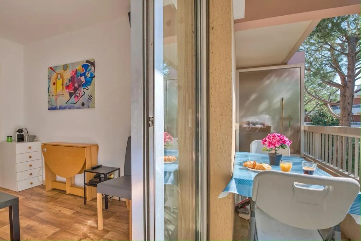 Le Petit Balcon Apartment Nice